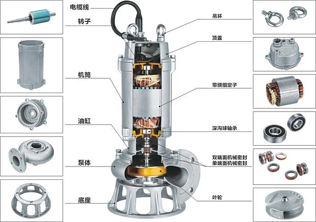 WQP不锈钢潜水小黄片下载安装结构图