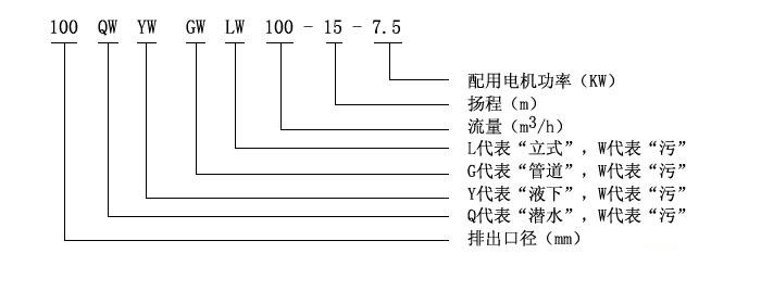 LW型直立式无堵塞小黄片下载安装型号意义